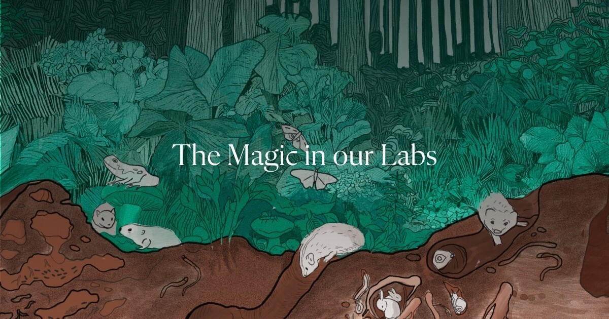 Preview image of the work "Science of Enhanced Rock Weathering: From the field to the lab: decoding the science of CO₂ removal"